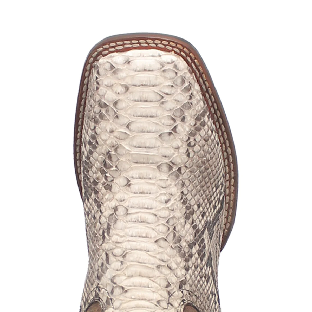 Dan Post Brutus Python Boot | Nate's Western Wear